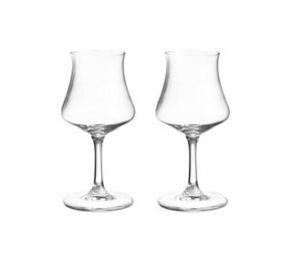 Maku Rum glasses, 17 cl / 2 pcs